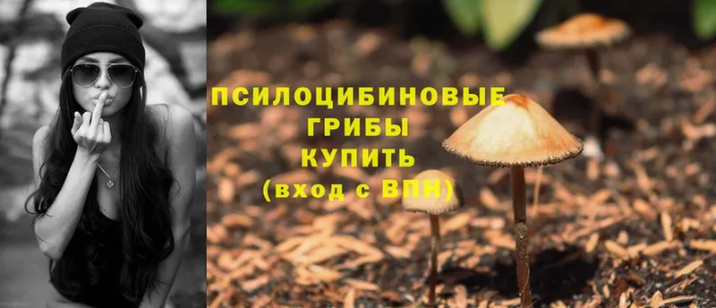 Псилоцибиновые грибы Cubensis  продажа наркотиков  Лакинск 